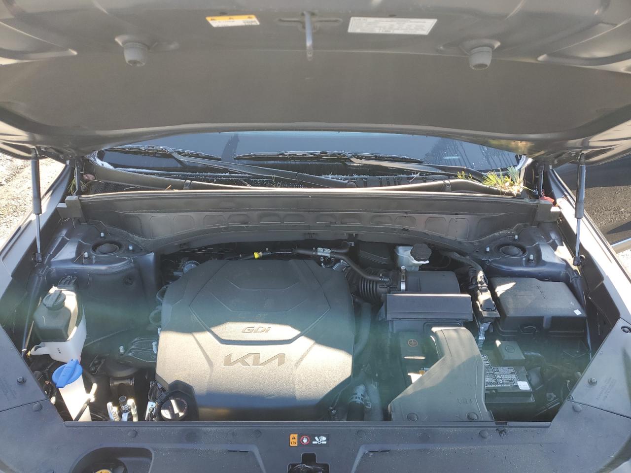 2024 KIA TELLURIDE S VIN:5XYP64GC2RG485480