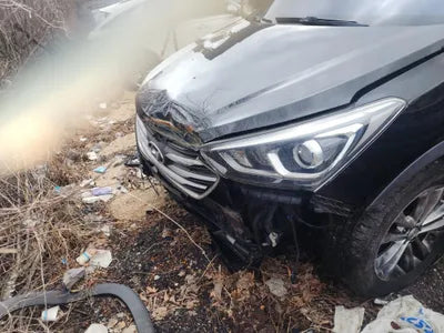 2017 Hyundai Santa FE KMHSW81UBJU827590 VIN:KMHSW81UBJU827590