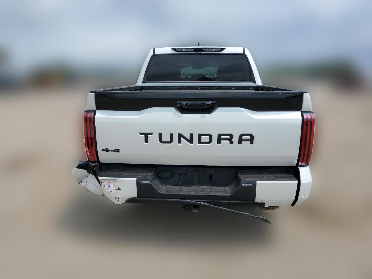 2023 TOYOTA TUNDRA CREWMAX PLATINUM VIN:5TFNC5DB9PX019699