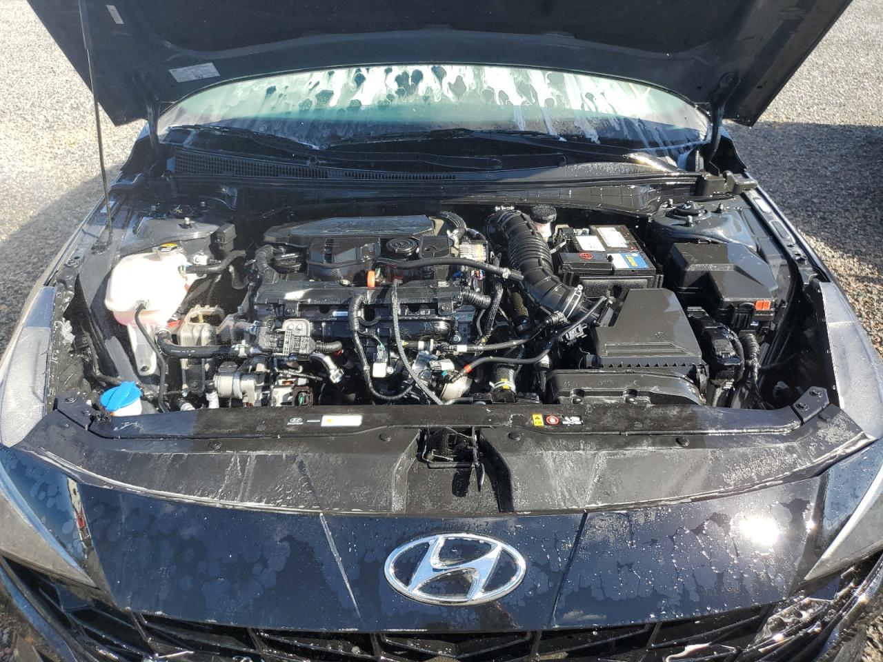 2023 HYUNDAI ELANTRA N LINE VIN:KMHLR4AF3PU567640