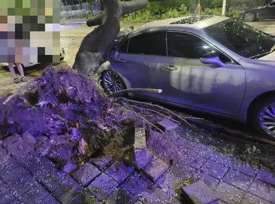 2018 Lexus ES 300 VIN: