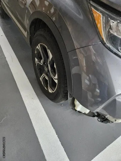 2019 Honda CR-V VIN: