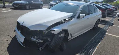 2019 BMW 520 WBAJF5106LWW56233 VIN:WBAJF5106LWW56233