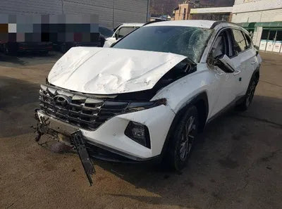 2021 Hyundai Tucson KMHJE811BMU009800 VIN:KMHJE811BMU009800