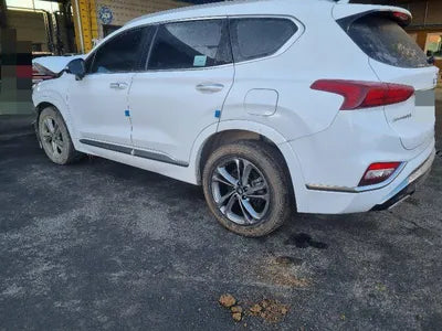 2019 Hyundai Santa FE KMHS581CDKU150496 VIN:KMHS581CDKU150496