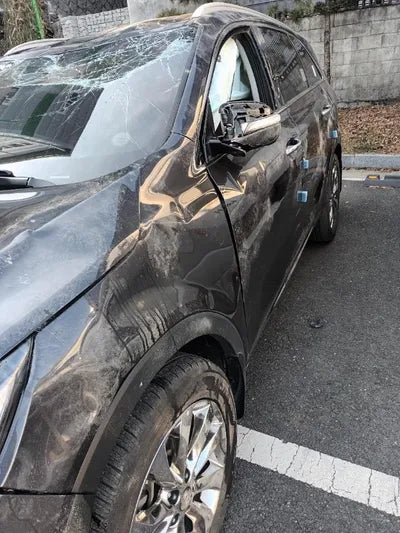 2018 Kia Sorento KNAPK81BDKA504403 VIN:KNAPK81BDKA504403