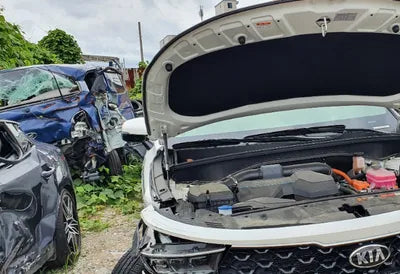 2021 Kia Sorento KNARG81GBMA002202 VIN:KNARG81GBMA002202