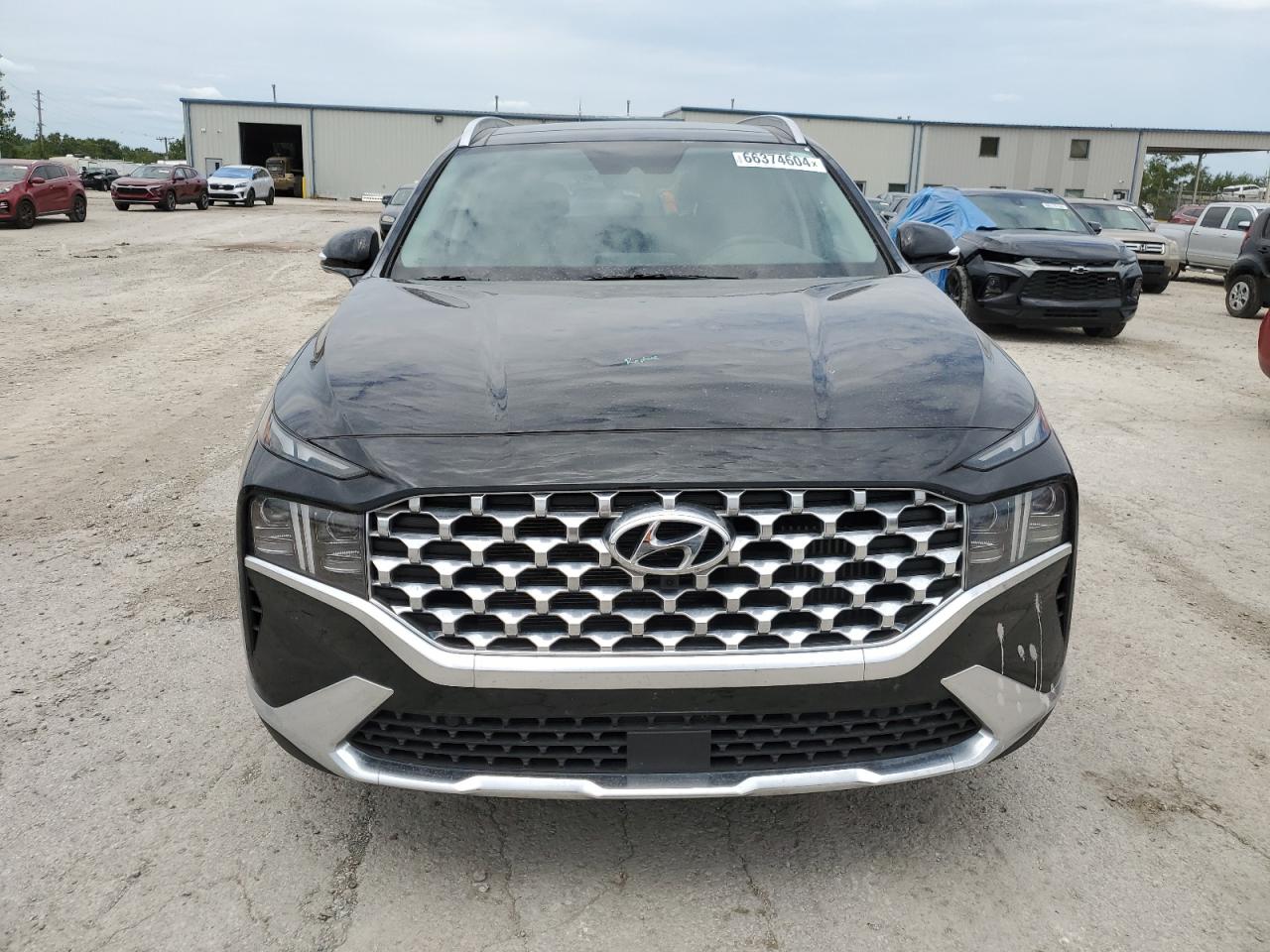 2023 HYUNDAI SANTA FE LIMITED VIN:5NMS5DA16PH000698