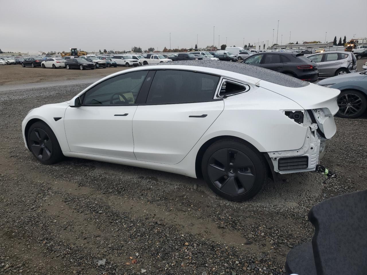 2023 TESLA MODEL 3  VIN:5YJ3E1EA0PF459174