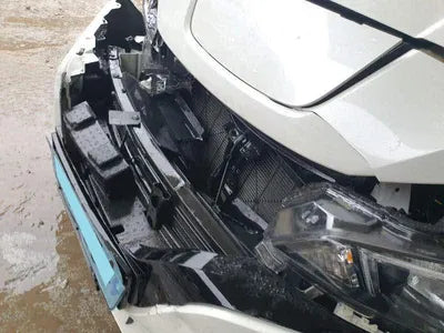 2019 Nissan Leaf 1N4AZ1CP1KC311856 VIN:1N4AZ1CP1KC311856