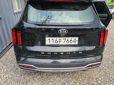 2021 Kia Sorento KNARL81BGMA067124 VIN:KNARL81BGMA067124