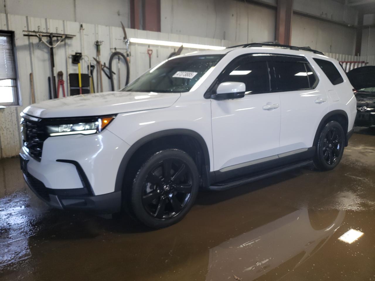 2024 HONDA PILOT ELITE VIN:5FNYG1H80RB033478