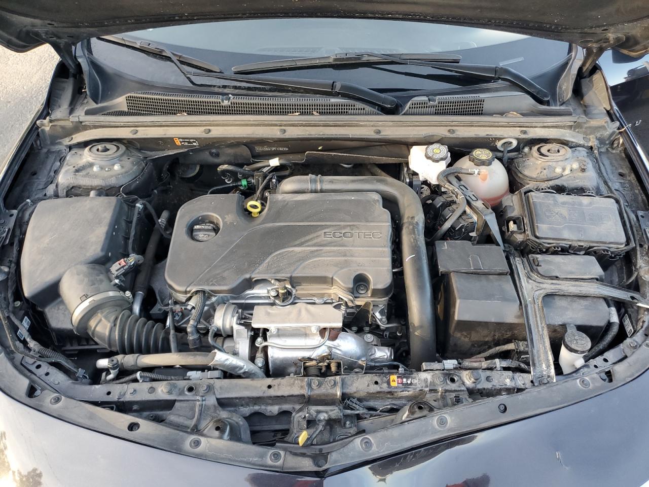 2023 CHEVROLET MALIBU LT VIN:1G1ZD5ST5PF178230