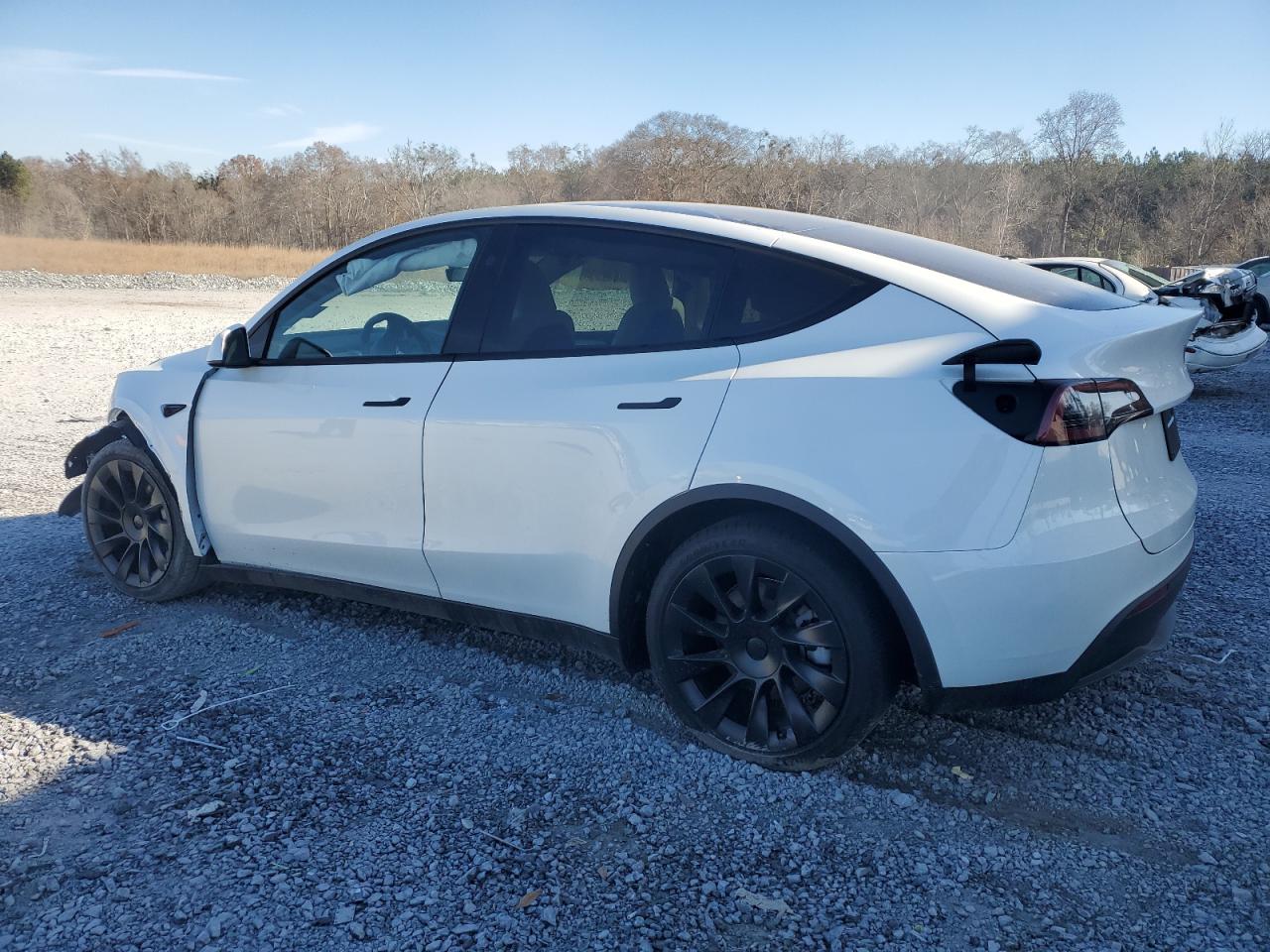 2024 TESLA MODEL Y  VIN:7SAYGAEE0RF983742