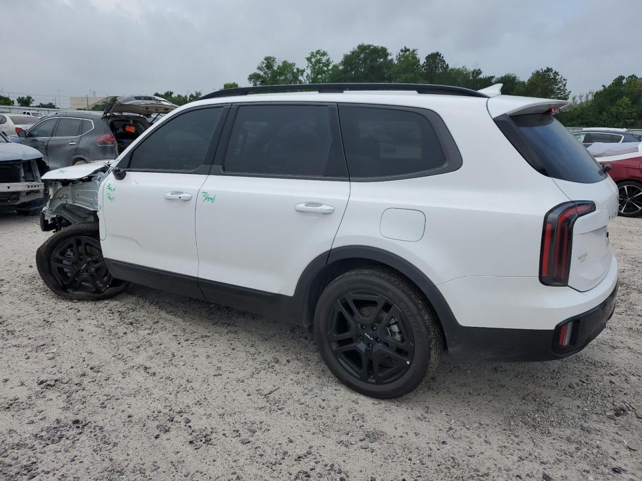 2024 KIA TELLURIDE EX VIN:5XYP3DGC4RG468009