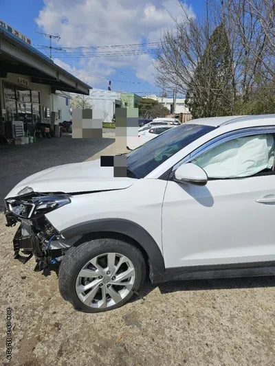 2020 Hyundai Tucson KMHJ381ABLU206707 VIN:KMHJ381ABLU206707