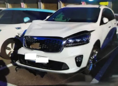 2019 Kia Sorento KNAPK81BBKA548471 VIN:KNAPK81BBKA548471