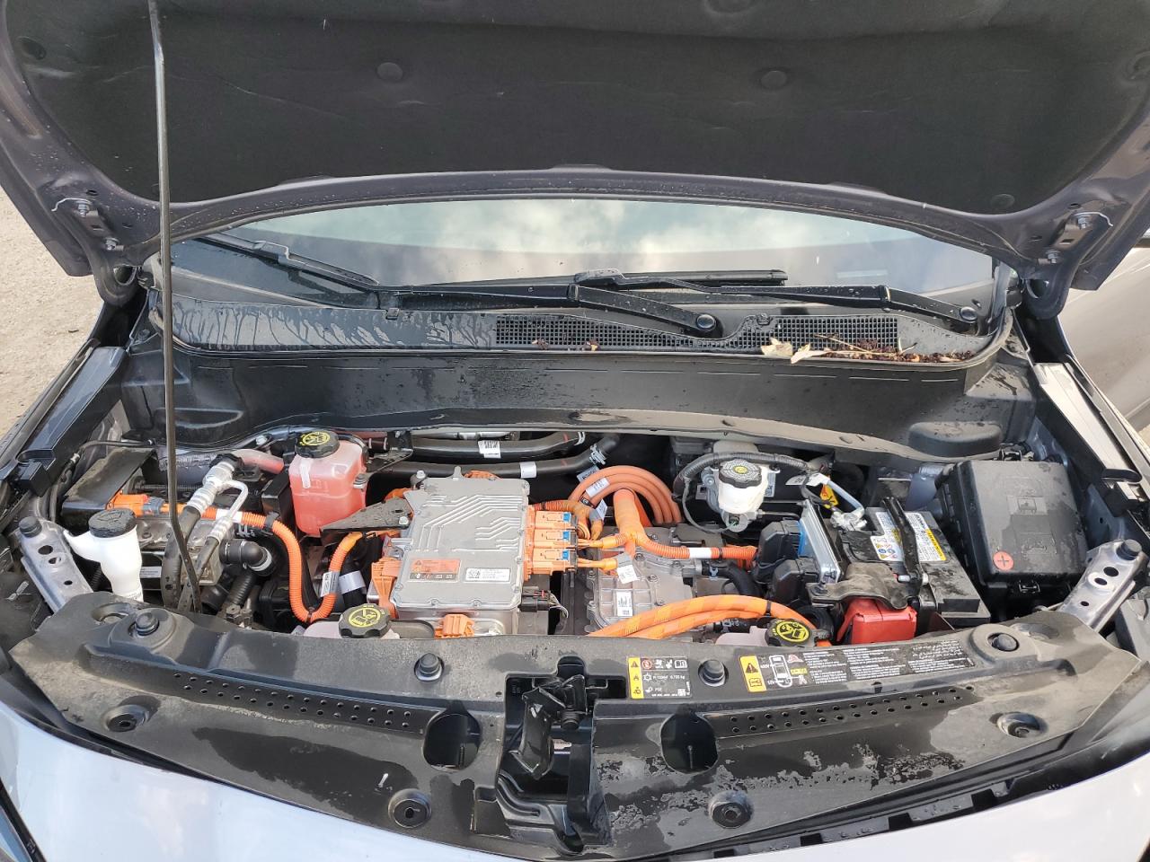 2023 CHEVROLET BOLT EUV LT VIN:1G1FY6S01P4202330