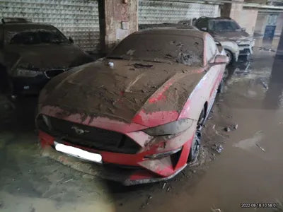 2019 Ford Mustang 1FA6P8TH9K5128173 VIN:1FA6P8TH9K5128173