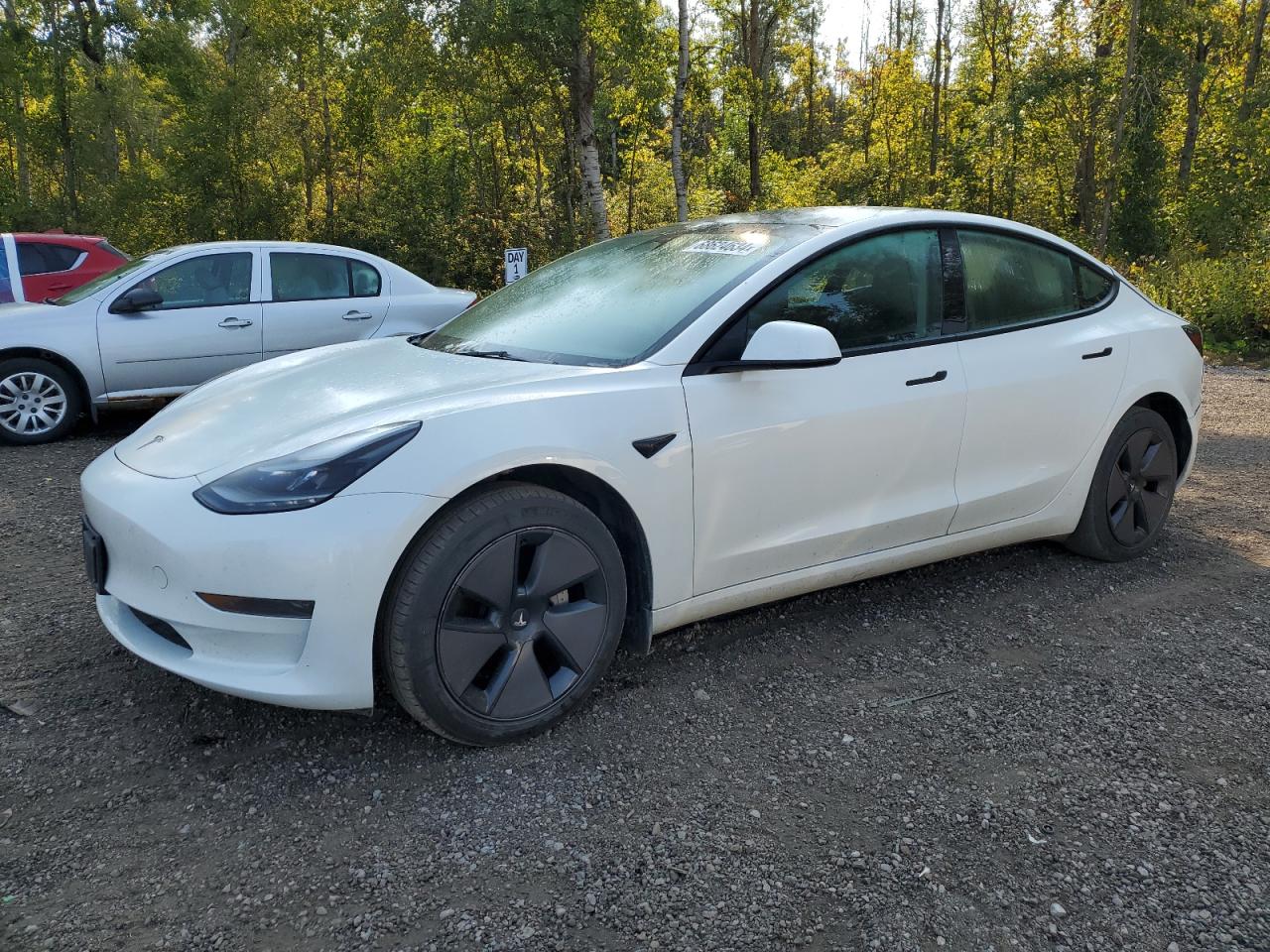 2023 TESLA MODEL 3  VIN:5YJ3E1EA7PF499025