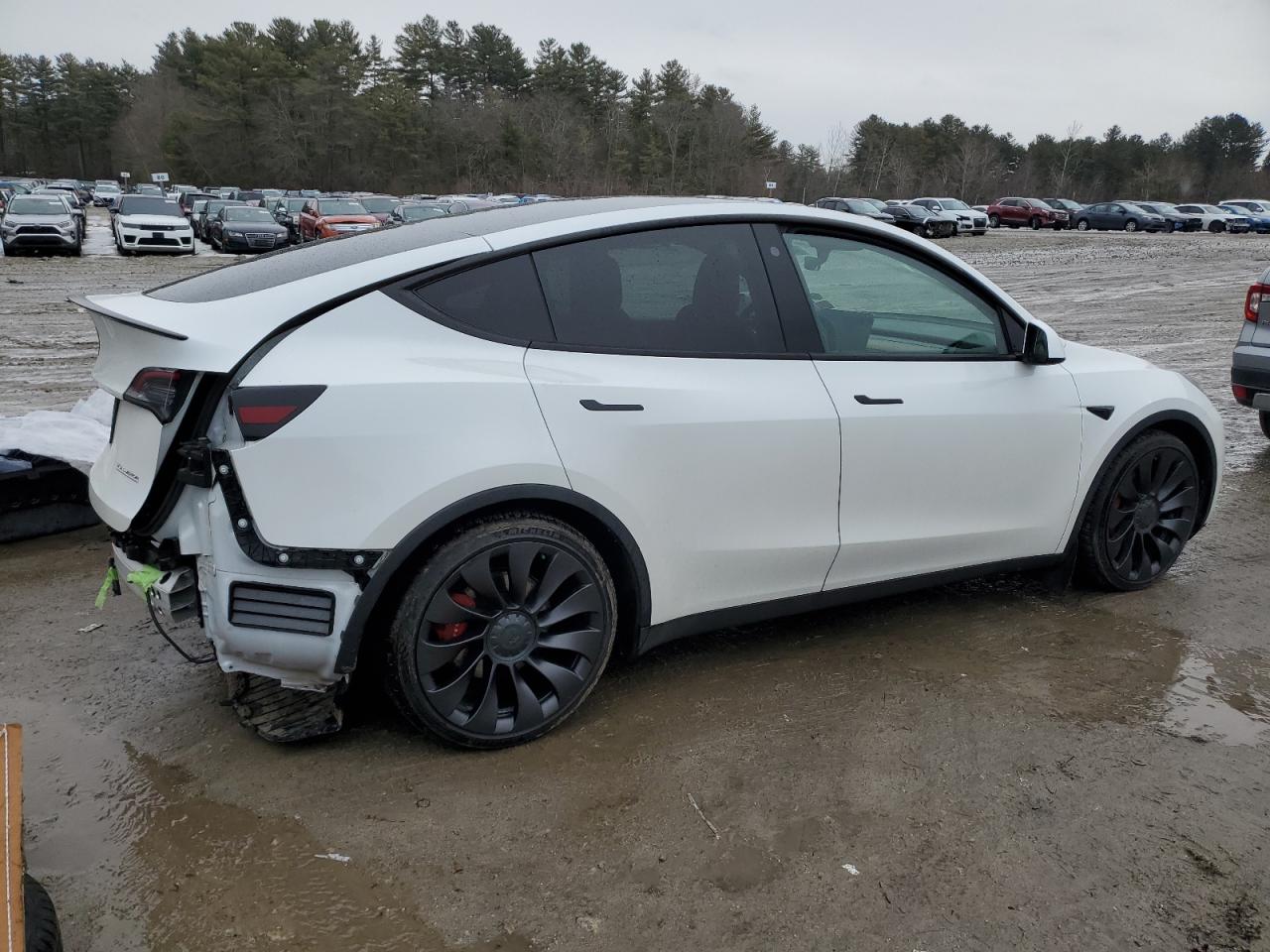 2022 TESLA MODEL Y  VIN:7SAYGDEF8NF399982
