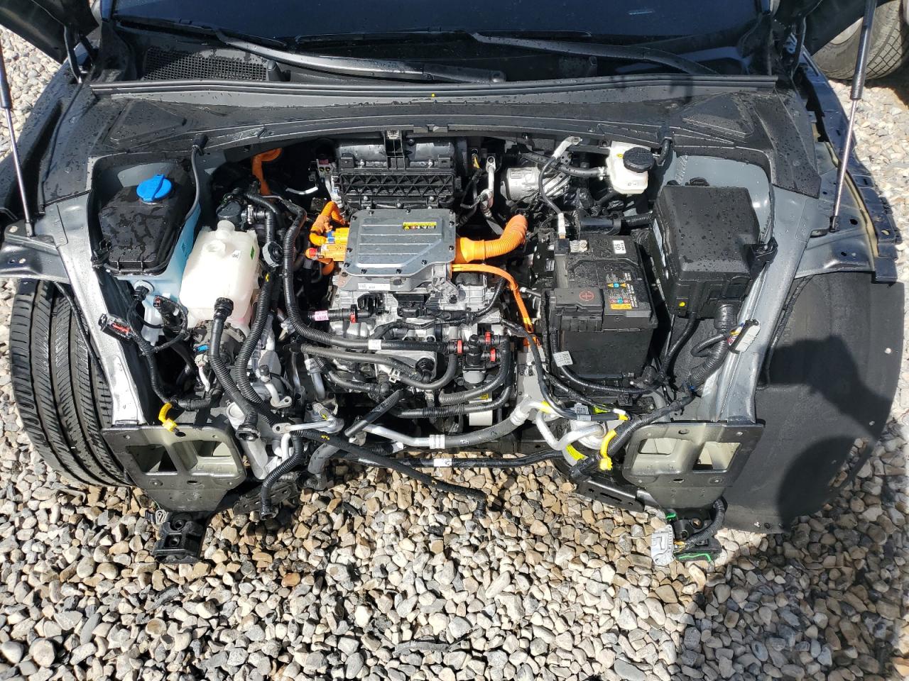 2024 GENESIS GV60 PERFORMANCE VIN:KMUKEDSB5RU020120