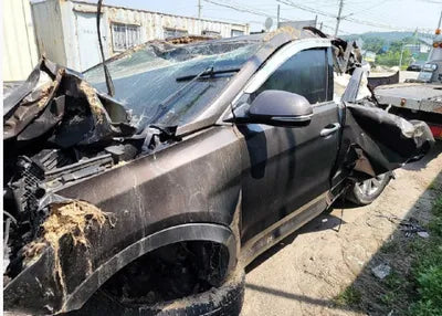 2018 Hyundai Santa FE KMHSW81UBJU850056 VIN:KMHSW81UBJU850056