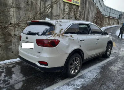 2019 Kia Sorento KNAPG81BBKA487503 VIN:KNAPG81BBKA487503