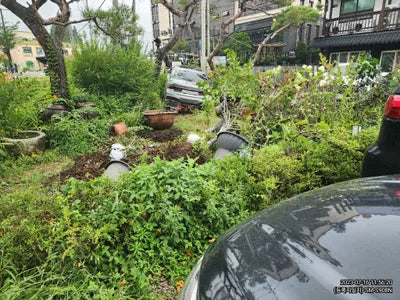 2020 BMW 740 WBA7T410XLCE40015 VIN:WBA7T410XLCE40015