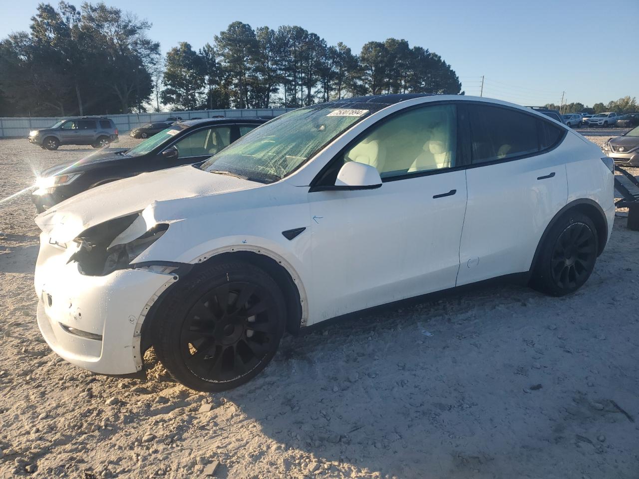 2022 TESLA MODEL Y  VIN:7SAYGAEEXNF314033