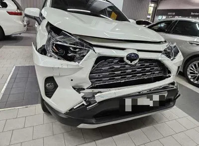 2019 Toyota RAV4 VIN:
