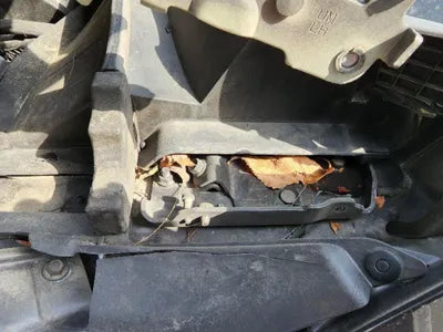 2018 Kia Sorento KNAPG81BDJA439364 VIN:KNAPG81BDJA439364