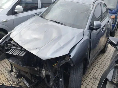 2020 Hyundai Kona KMHK2817GLU572479 VIN:KMHK2817GLU572479