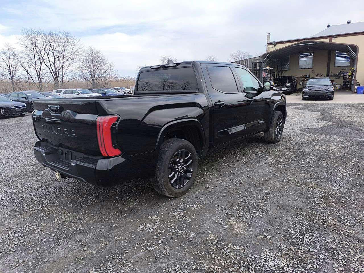 2023 TOYOTA TUNDRA CREWMAX PLATINUM VIN:5TFNA5DB8PX127429