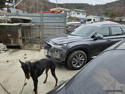 2020 Hyundai Santa FE KMHS281ABLU296695 VIN:KMHS281ABLU296695