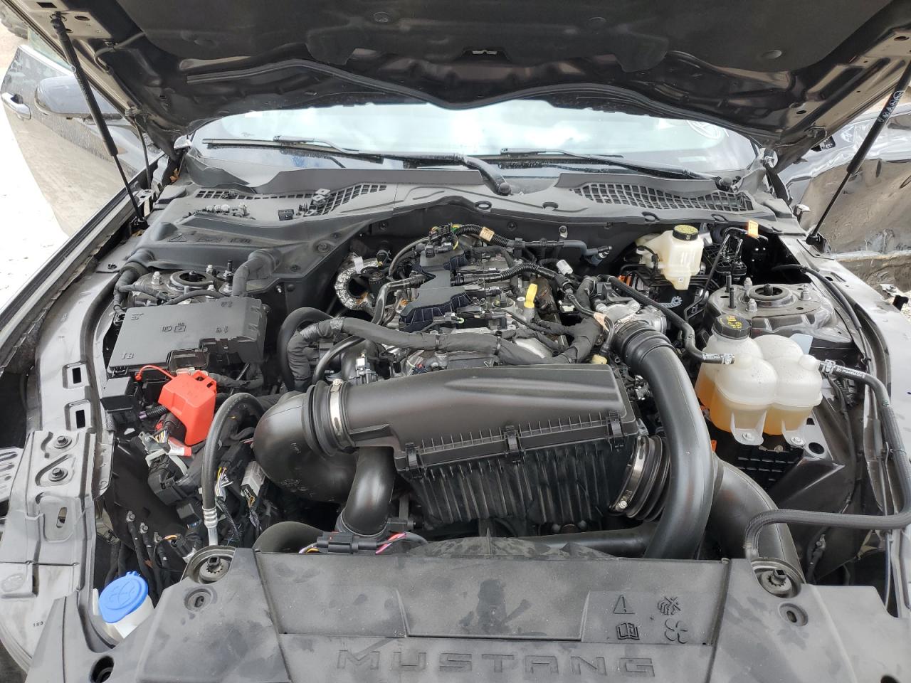 2024 FORD MUSTANG  VIN:1FA6P8TH4R5105488