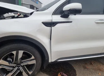 2023 Kia Sorento KNARJ81GBPA204006 VIN:KNARJ81GBPA204006
