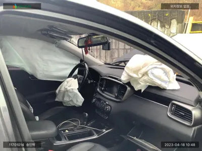 2017 Kia Sorento KNAPS81ABHA376524 VIN:KNAPS81ABHA376524