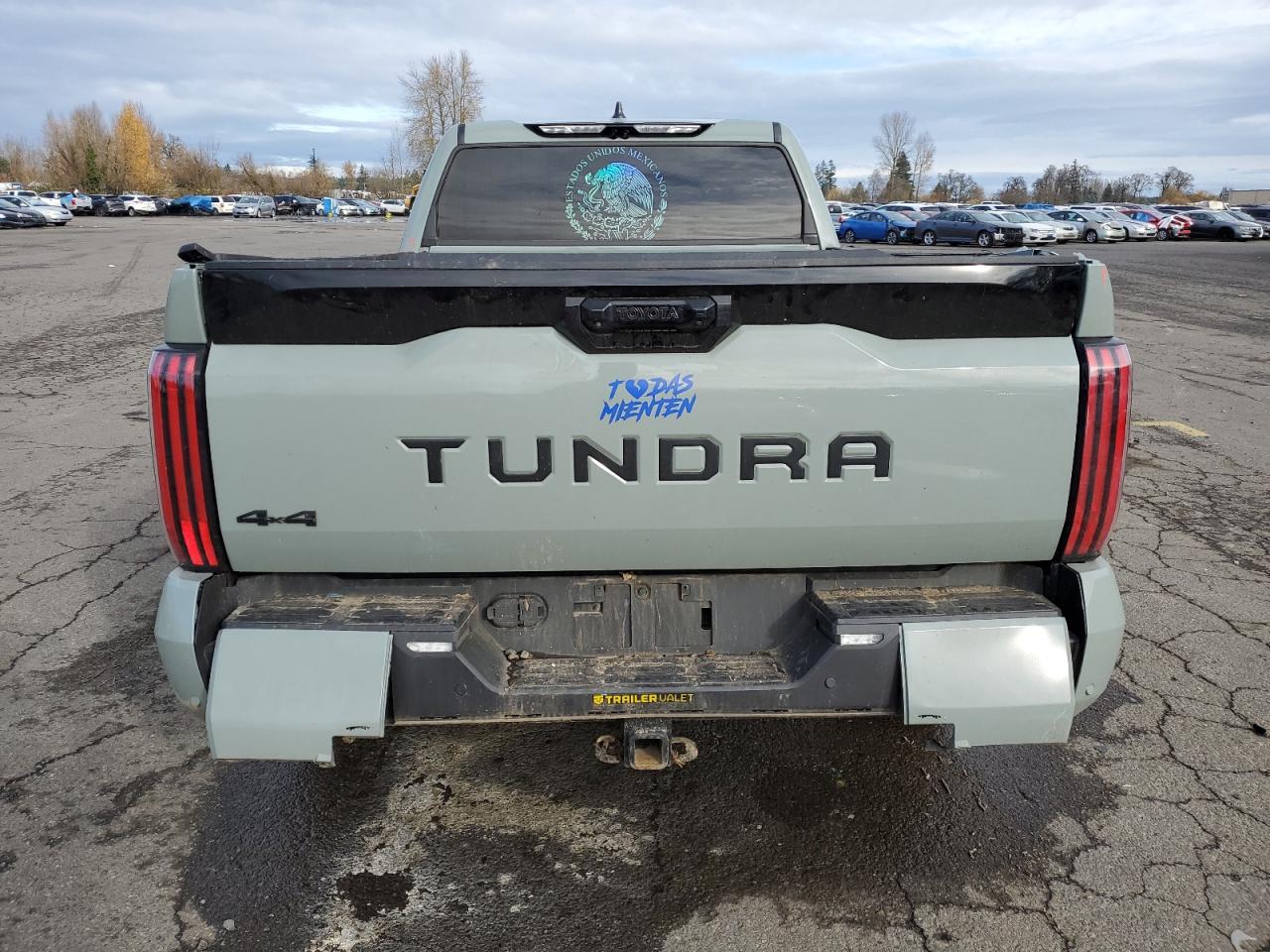 2024 TOYOTA TUNDRA CREWMAX PLATINUM VIN:5TFNA5EC9RX024966
