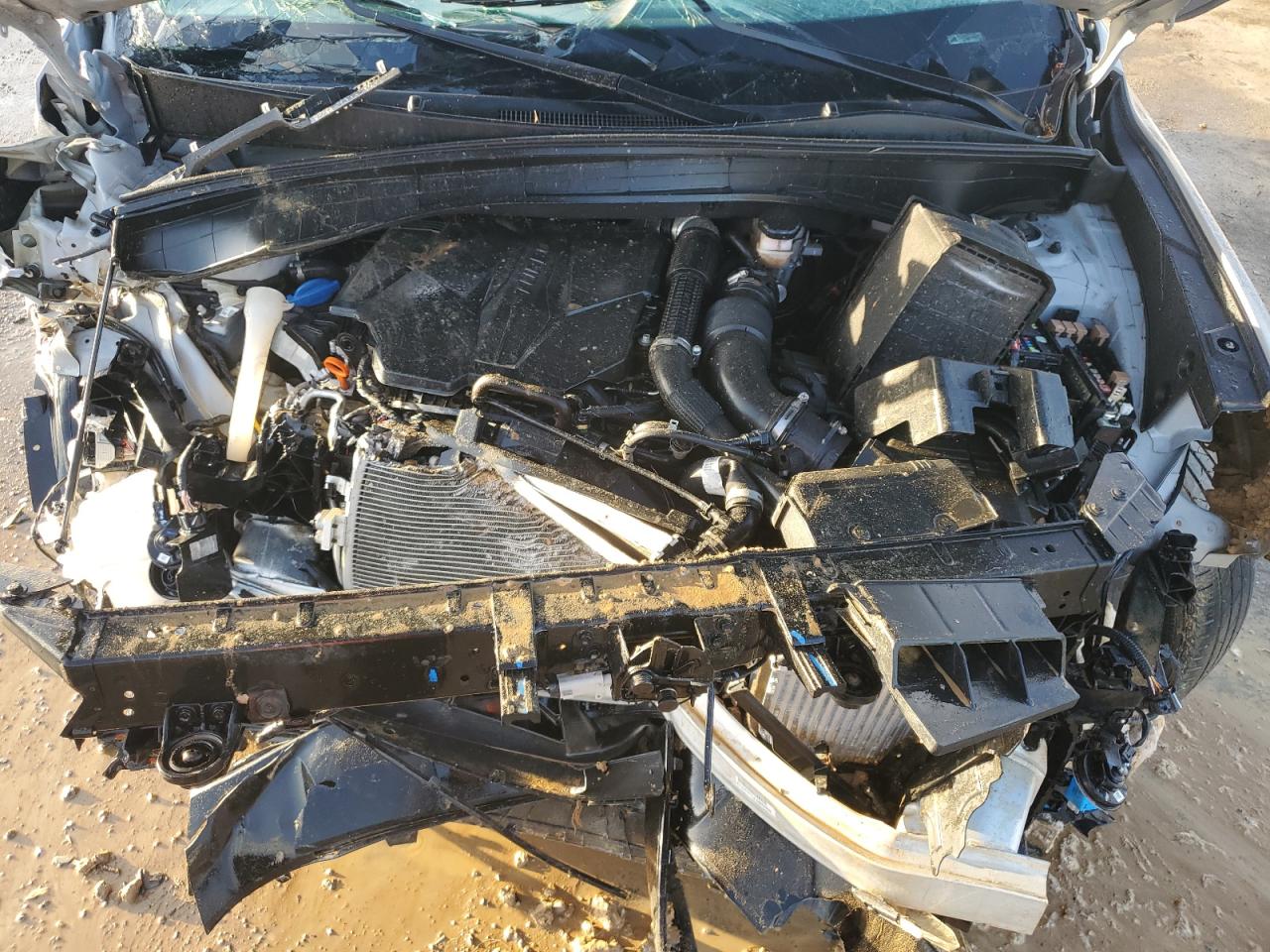 2023 KIA SORENTO SX VIN:5XYRKDLF7PG177075