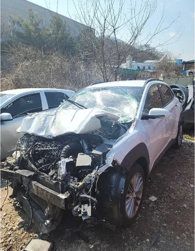 2018 Hyundai Kona KMHK3816GJU138362 VIN:KMHK3816GJU138362