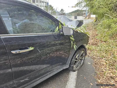 2020 Hyundai Tucson KMHJ581ABLU215831 VIN:KMHJ581ABLU215831