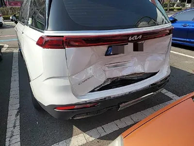 2022 Kia Carnival KNANE81BBNS166263 VIN:KNANE81BBNS166263
