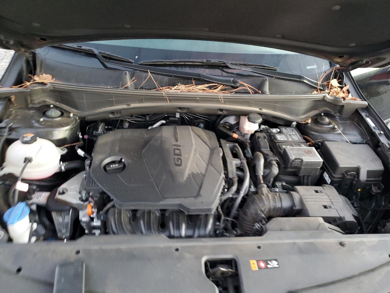 2024 KIA SPORTAGE EX VIN:5XYK33DF7RG171366