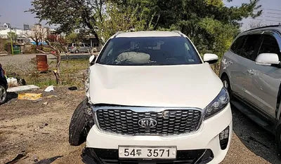 2019 Kia Sorento 611KMKNAPG81ABKA4 VIN:611KMKNAPG81ABKA4