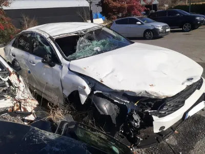2021 Kia K5 KNAG241ABMA113440 VIN:KNAG241ABMA113440