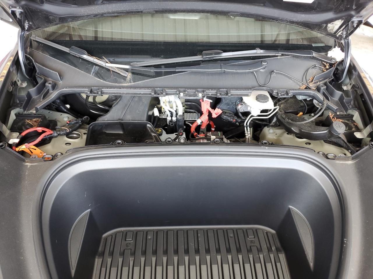 2023 TESLA MODEL Y  VIN:7SAYGDED6PF944062