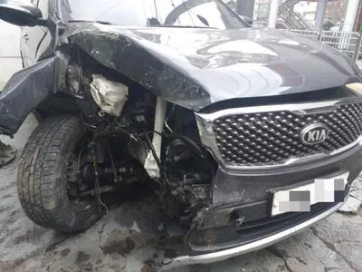2016 Kia Sorento KNAPS81ABGA263192 VIN:KNAPS81ABGA263192