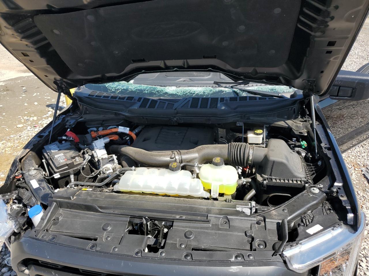 2023 FORD F150 SUPERCREW VIN:1FTFW1ED1PFB10685