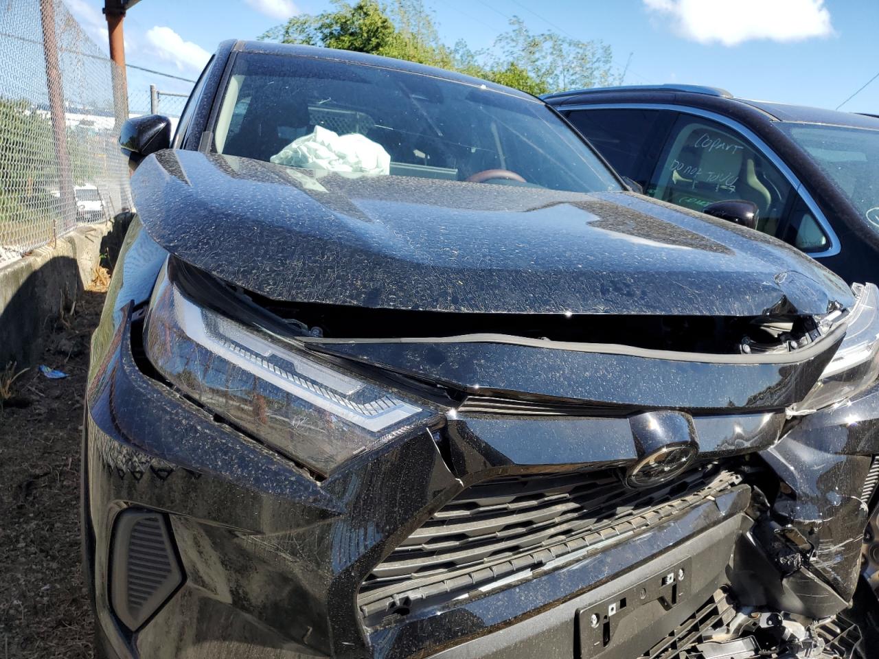 2024 TOYOTA RAV4 LE VIN:JTMK1RFV8RD121085